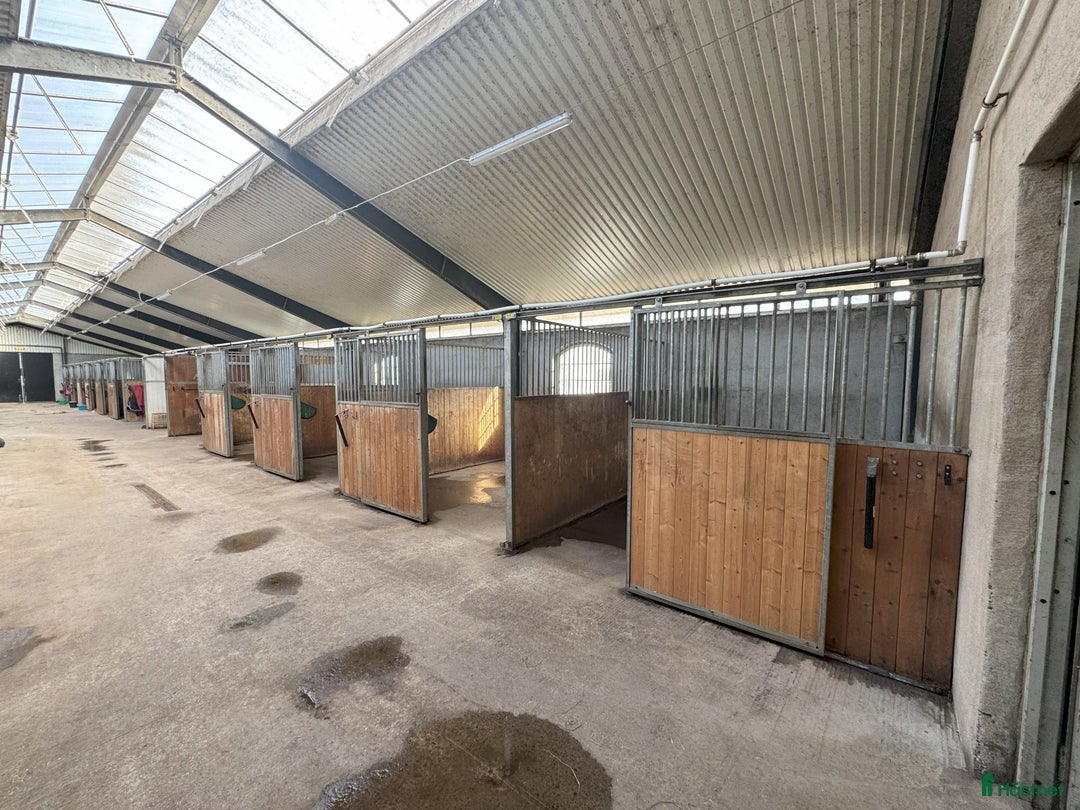  stallplats finnes: Stallplatser för verksamhet i Båstad i Båstad - Annons 2