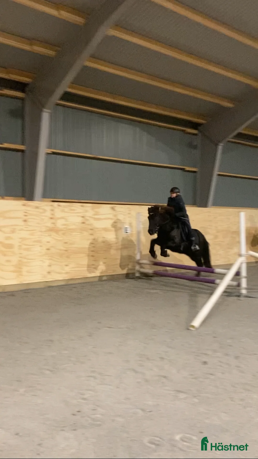  hästservice finnes: Höstlovsridläger i Bergslagen i Riddarhyttan - Annons 5