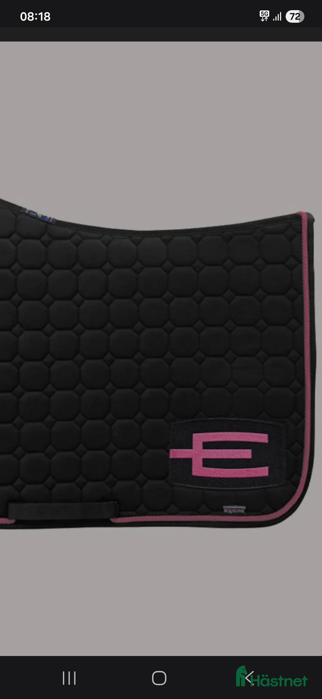 Schabrak & Vojlockar hästutrustning SÖKES i Huskvarna - Annons 6