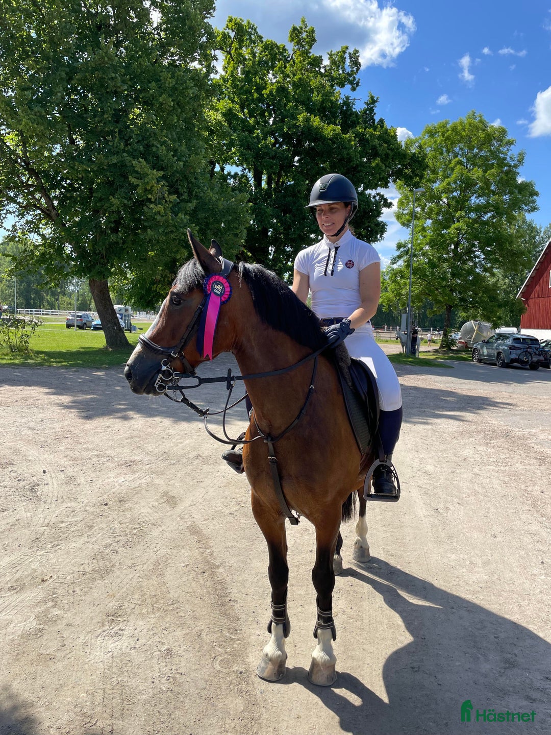 Hoppning hästar till salu: Trevlig Allroundponny  i Landsbro - Annons 3