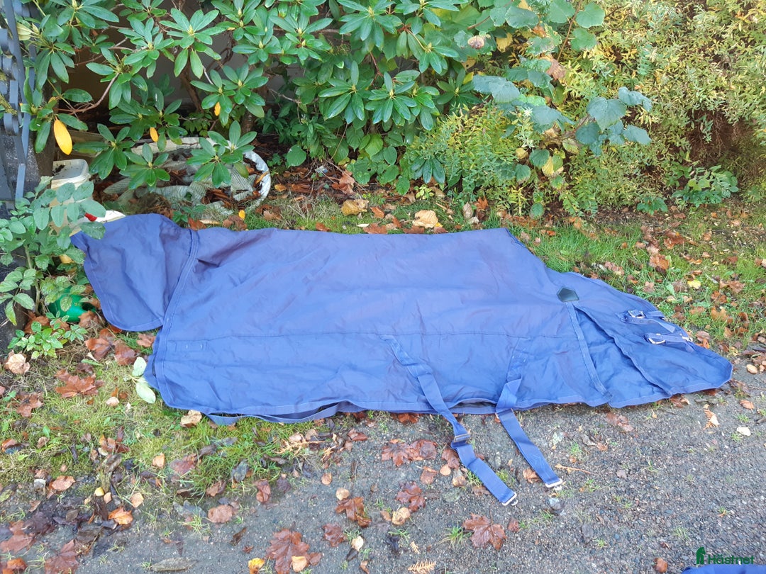 Täcken hästutrustning till salu: Shires stl.145 fodrat 100g i Sollebrunn - Annons 3