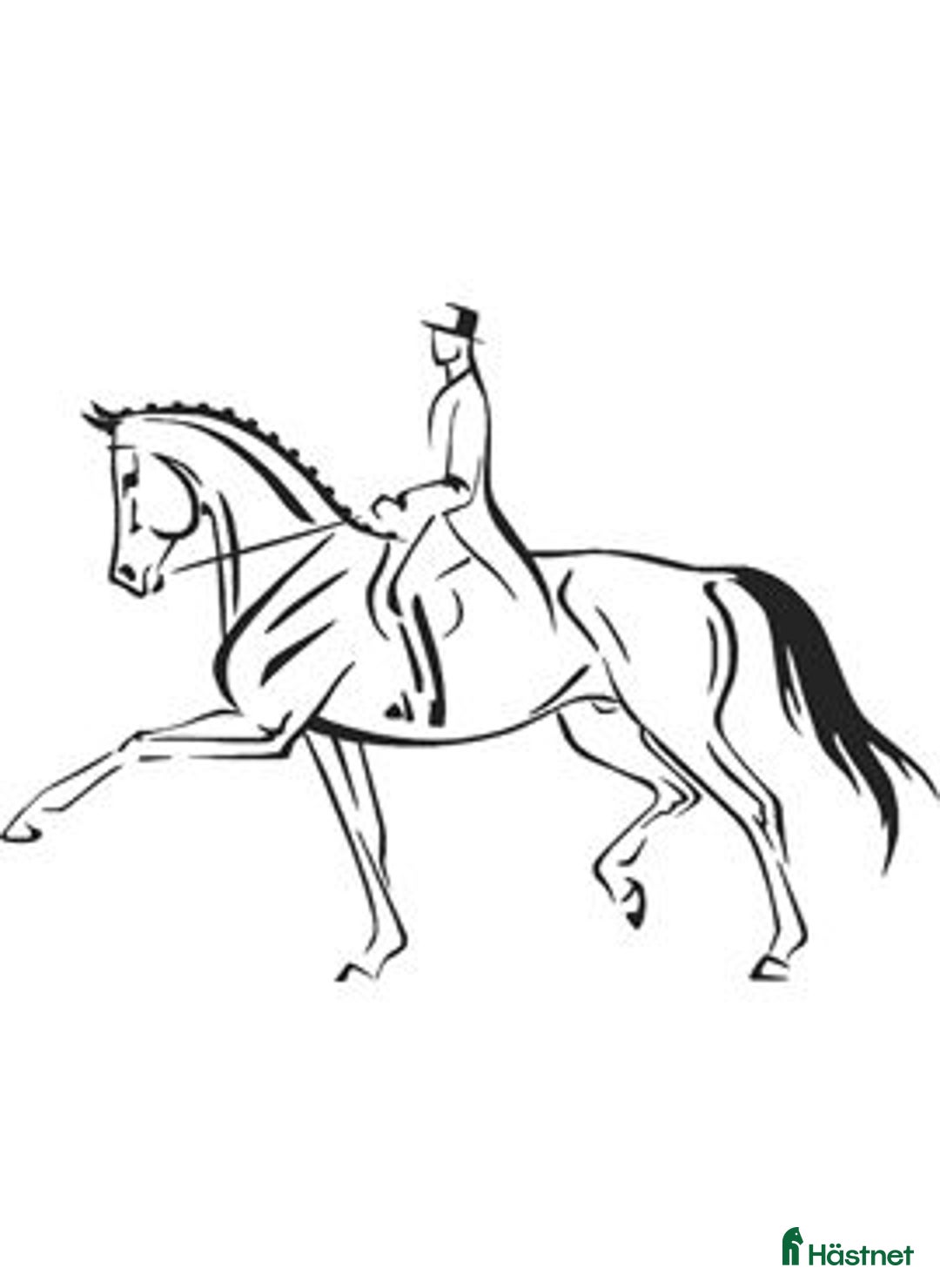  foderhäst finnes: Söker satsande ponnyryttare i Ydre - Annons 1