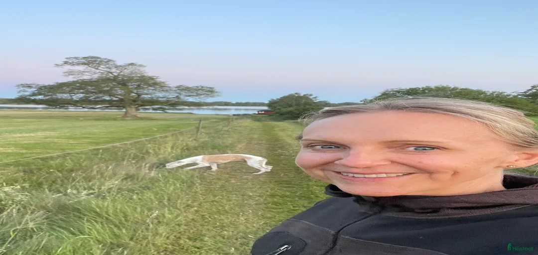 Galleribild {{count}}