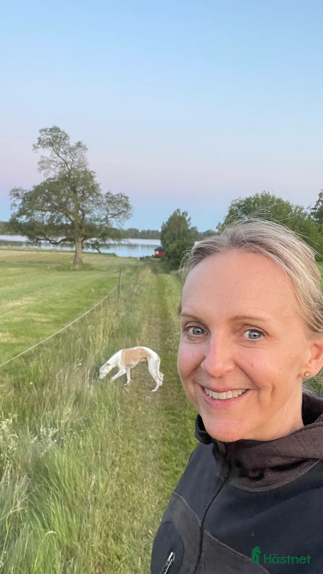 Galleribild {{count}}