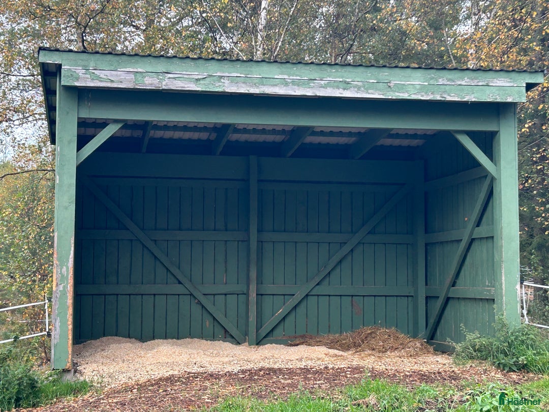  stallplats finnes: Boxplats, rehabplats eller lösdriftsplats erbjuds  i Nol - Annons 2