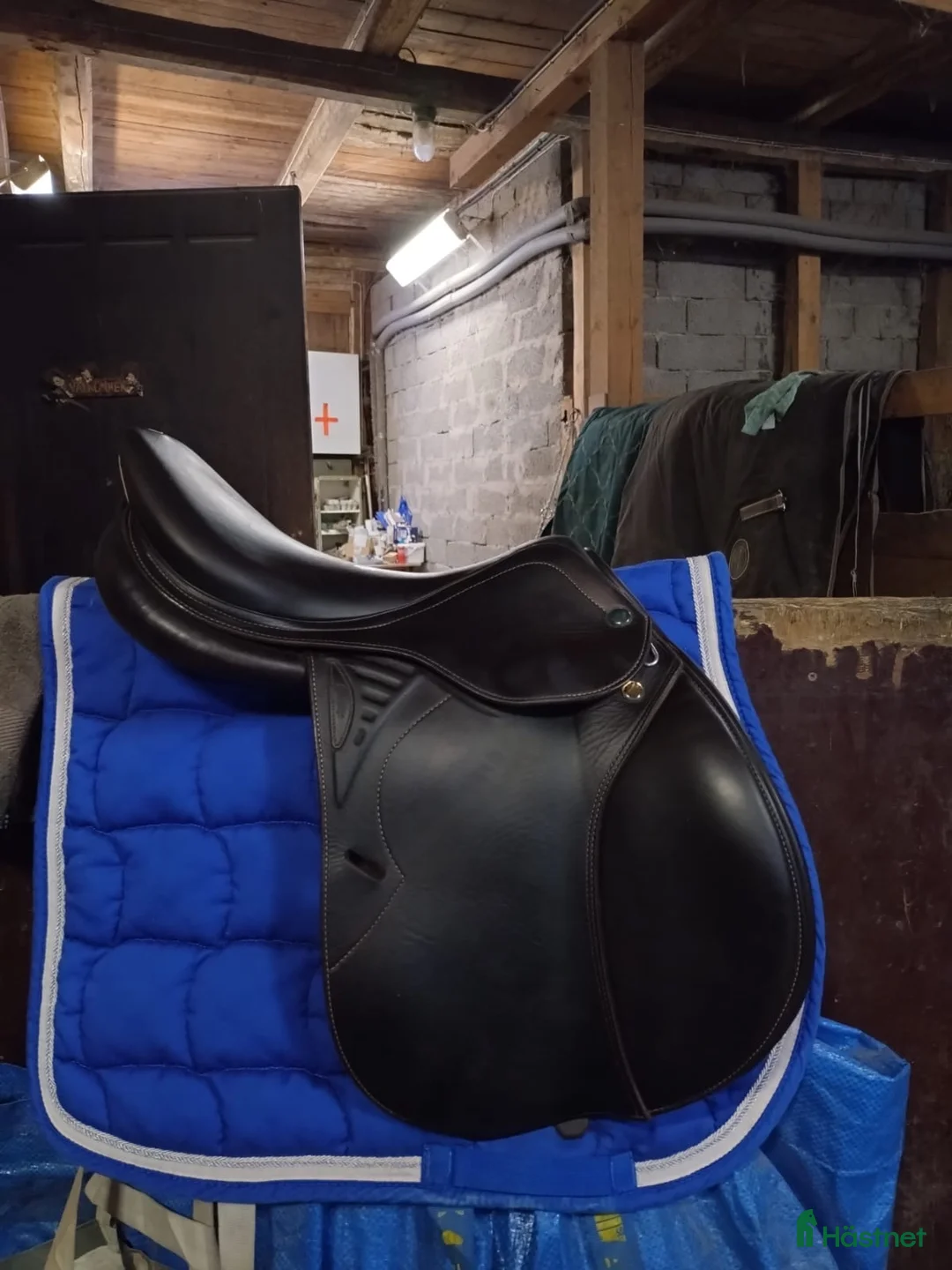 Sadlar hästutrustning till salu: Prestige Versailles - Annons 1