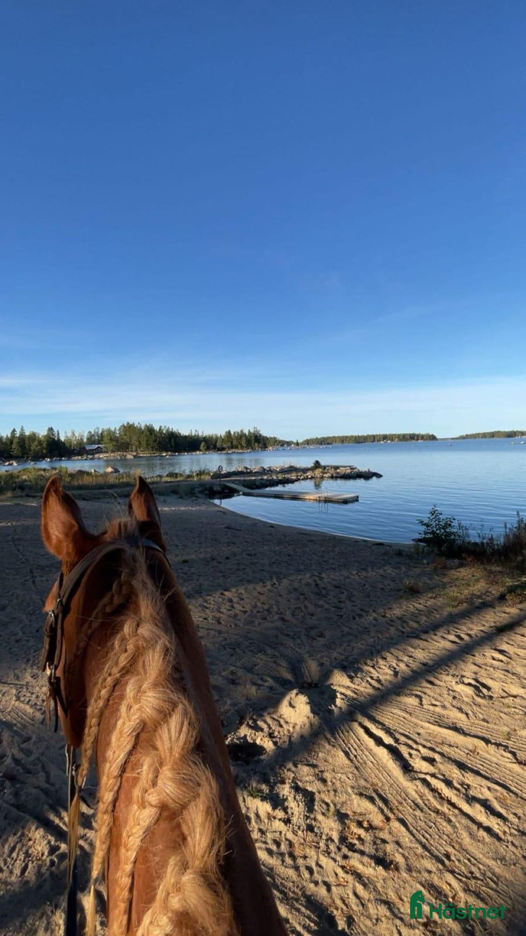  stallplats finnes: Två platser på lösdrift  i Söderhamn - Annons 3