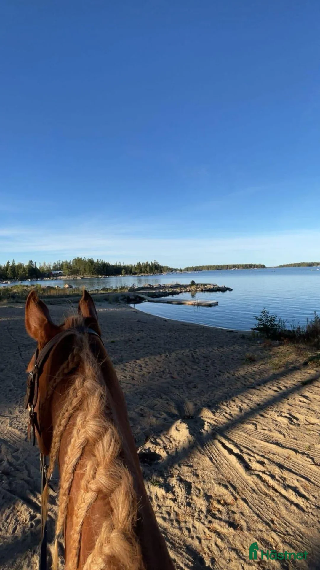  stallplats finnes: Två platser på lösdrift  i Söderhamn - Annons 3