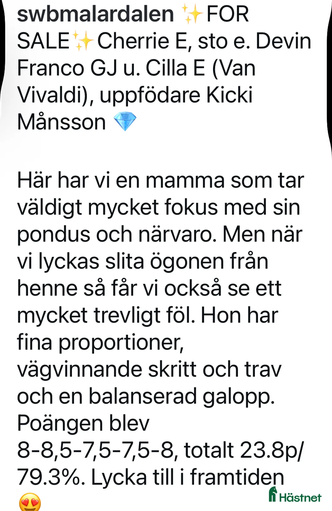 Avelshästar hästar till salu: Snyggt avelssto Dressyr - Annons 2