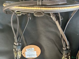 Träns hästutrustning till salu: Träns & tyglar i Örkelljunga - Annons 4