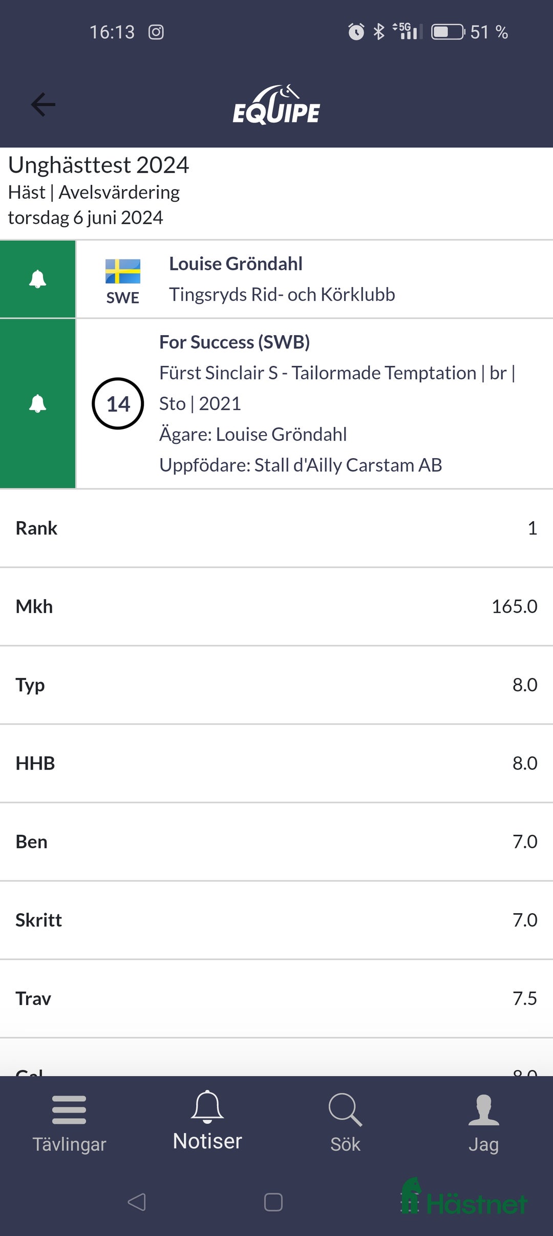 Allround hästar till salu: Dressyr ämne för framtiden i Urshult - Annons 2