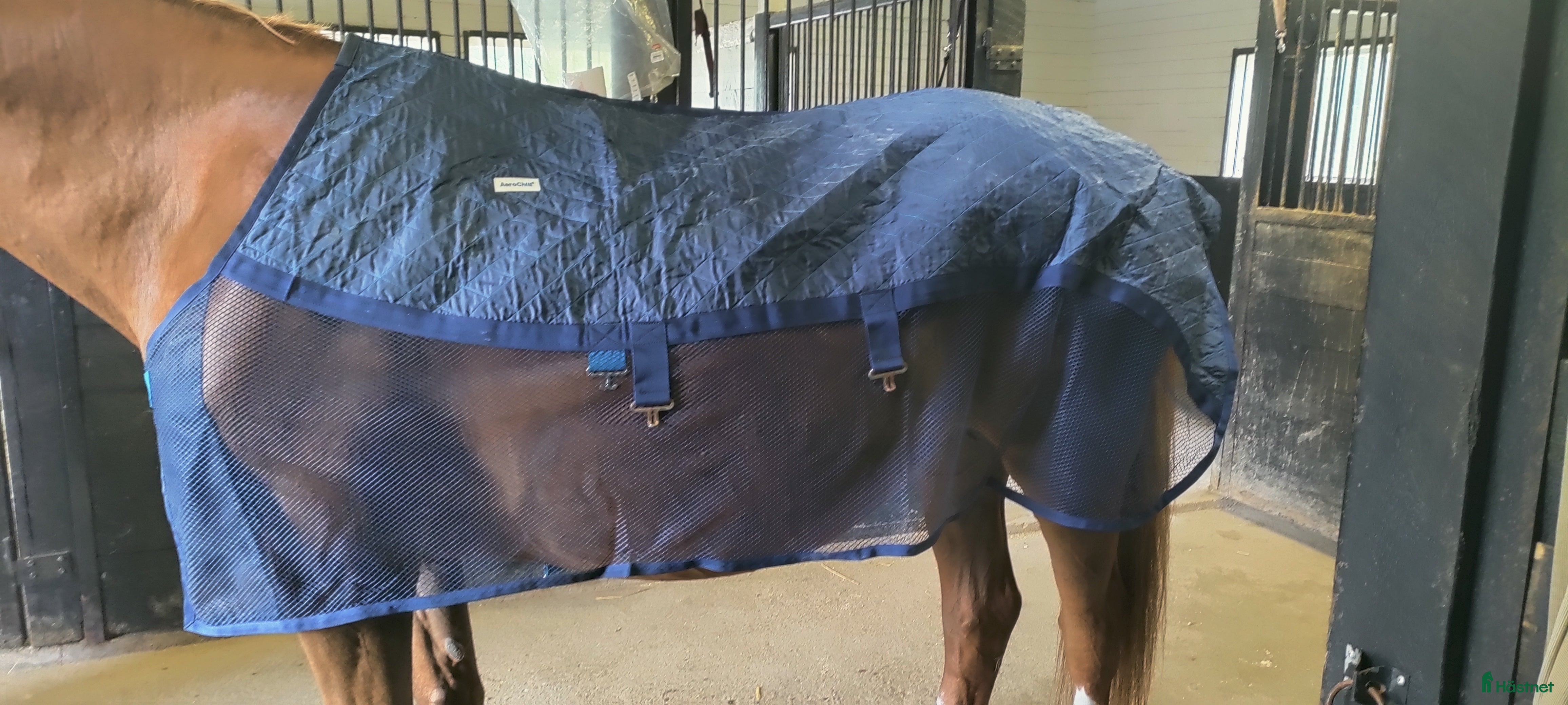 Täcken hästutrustning till salu: BUD ❄️ Kylande täcke  - Annons 19