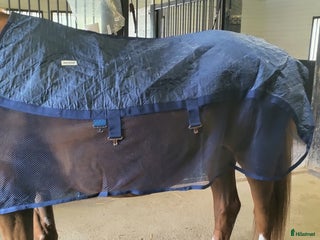 Täcken hästutrustning till salu: BUD ❄️ Kylande täcke i Motala - Annons 1