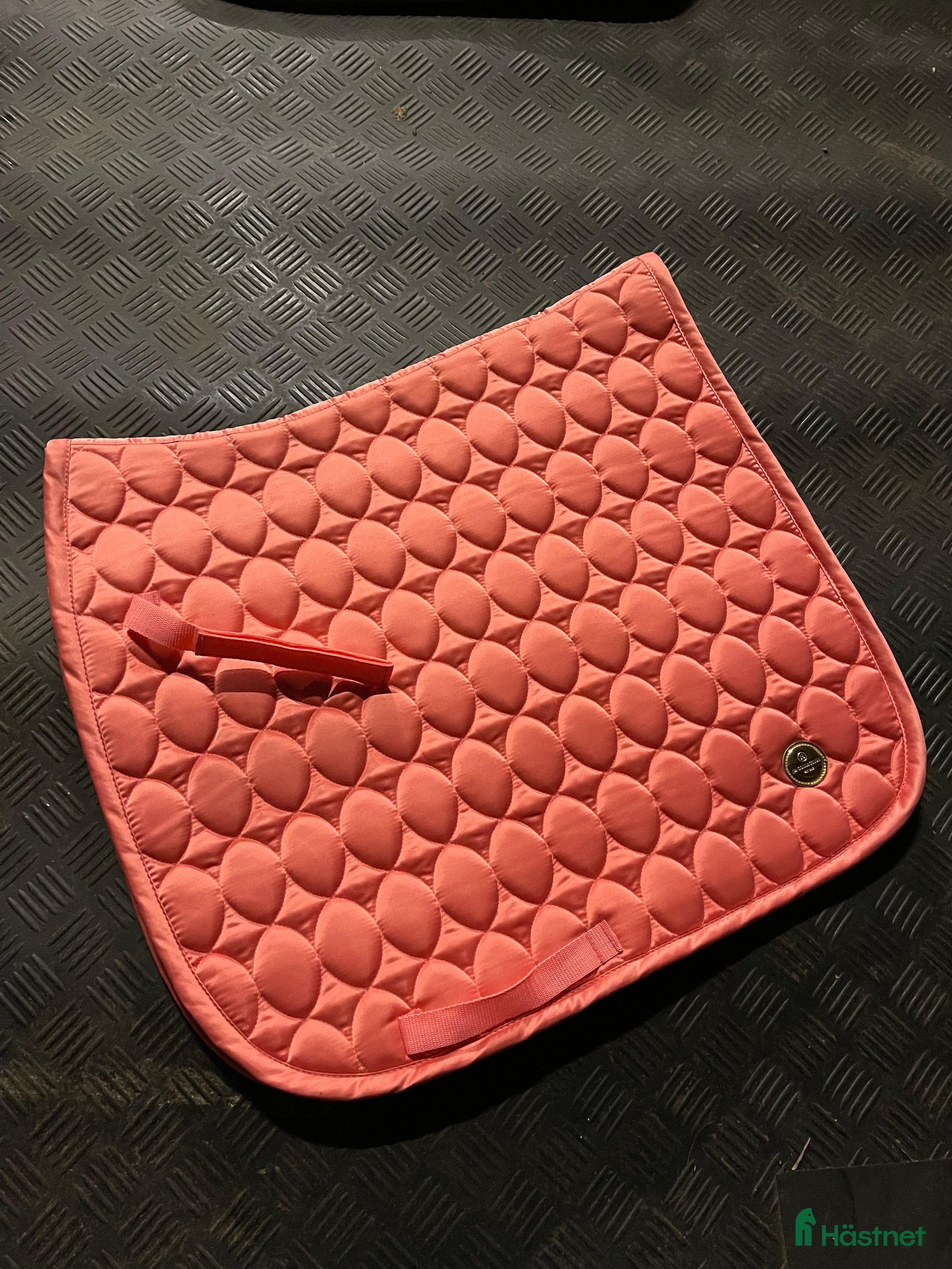 Schabrak & Vojlockar hästutrustning till salu: Schabrak  i Alsterbro - Annons 23