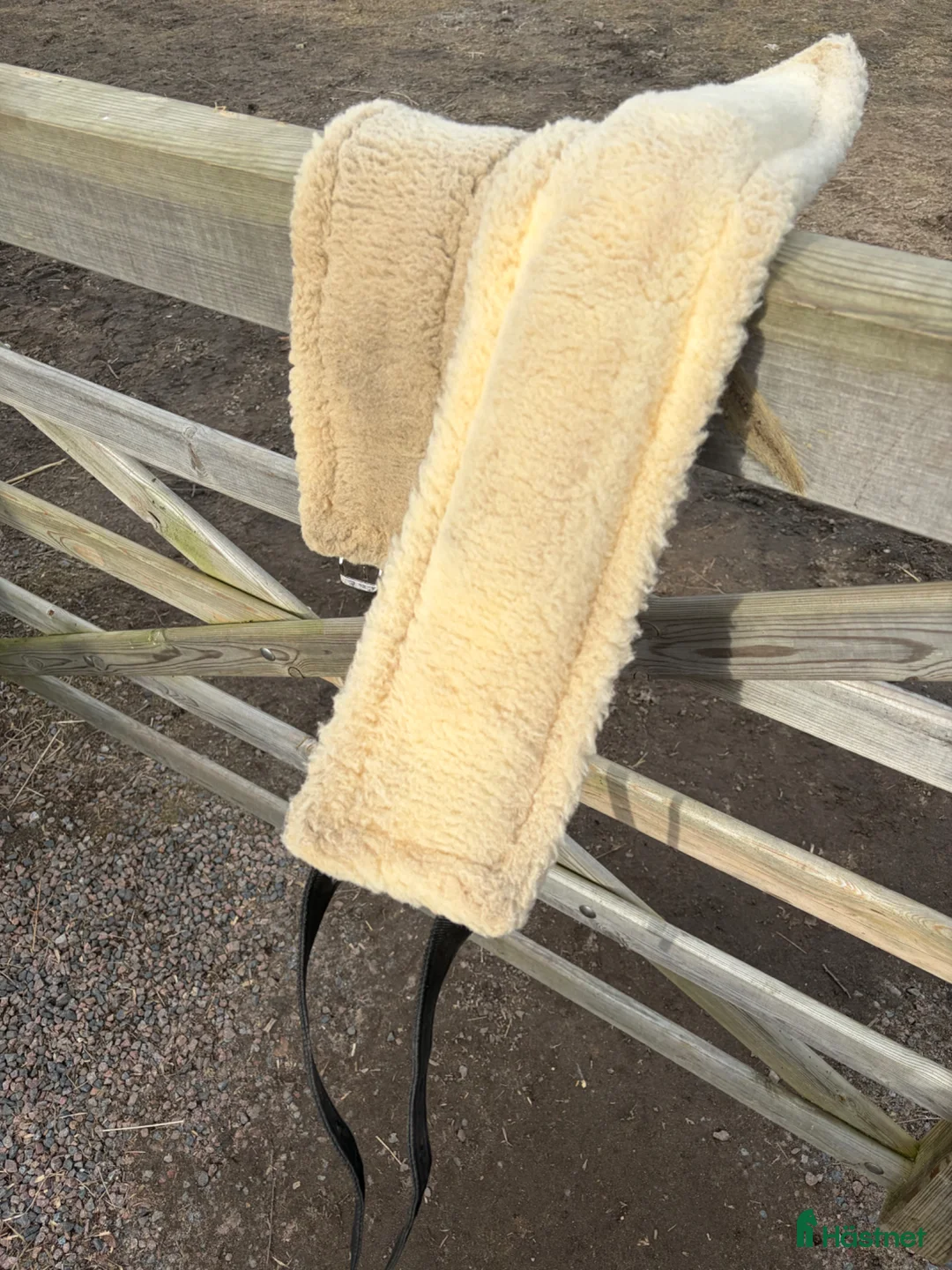 Övrig Hästutrustning hästutrustning till salu: Träningsgjord Globus - tömkörning/longering - Annons 2