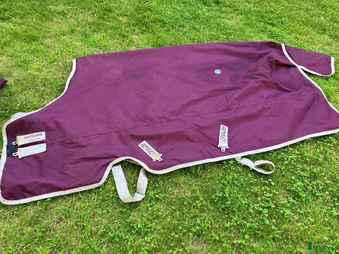 Täcken hästutrustning till salu: Horseware - Annons 2
