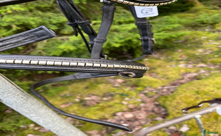 Träns hästutrustning till salu i Rimbo - Annons 15