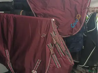 Täcken hästutrustning Vintertäcke 200g stl 125 - Annons 3