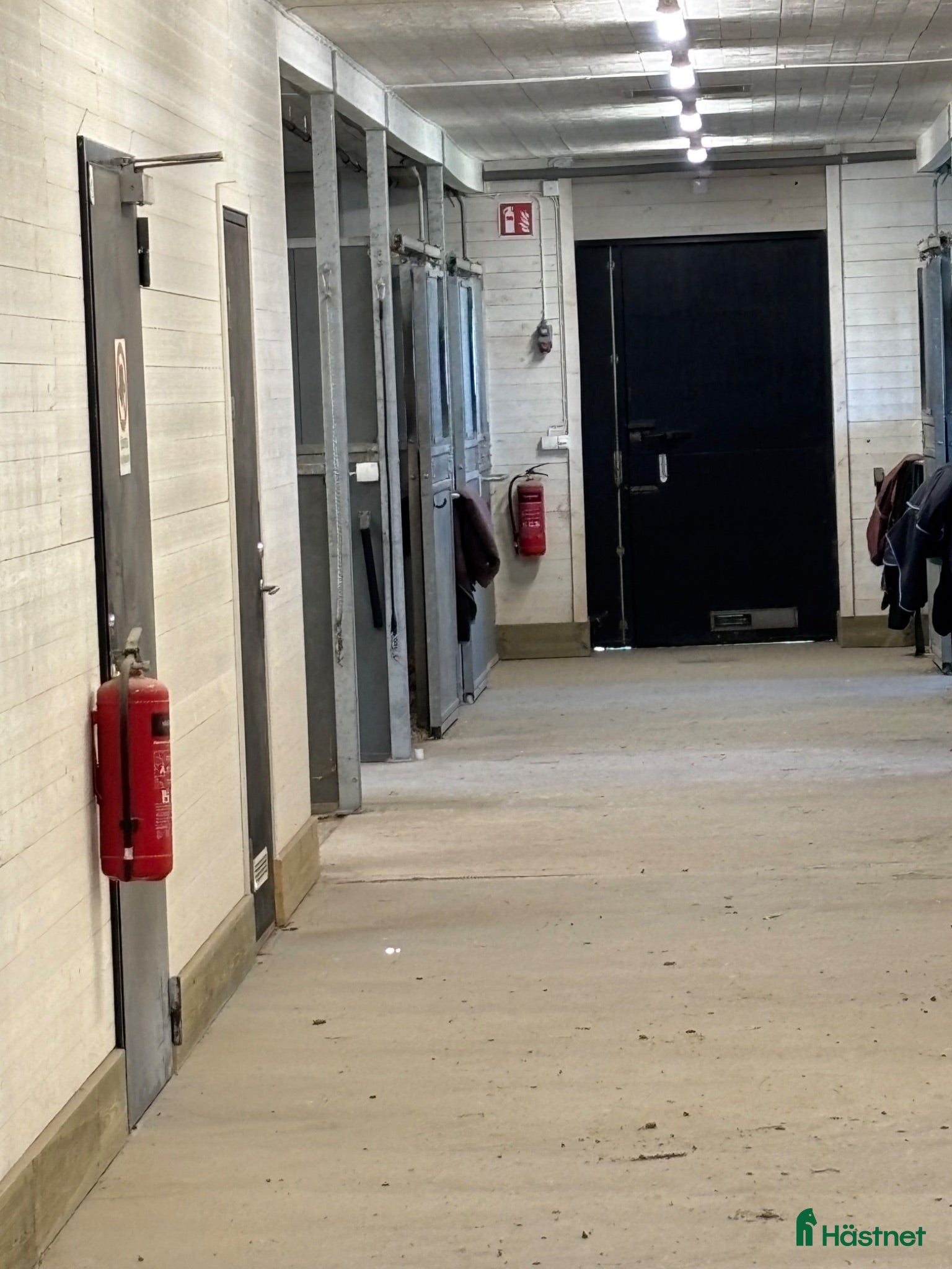  stallplats Dressyrstall söder om Hjo  - Annons 15