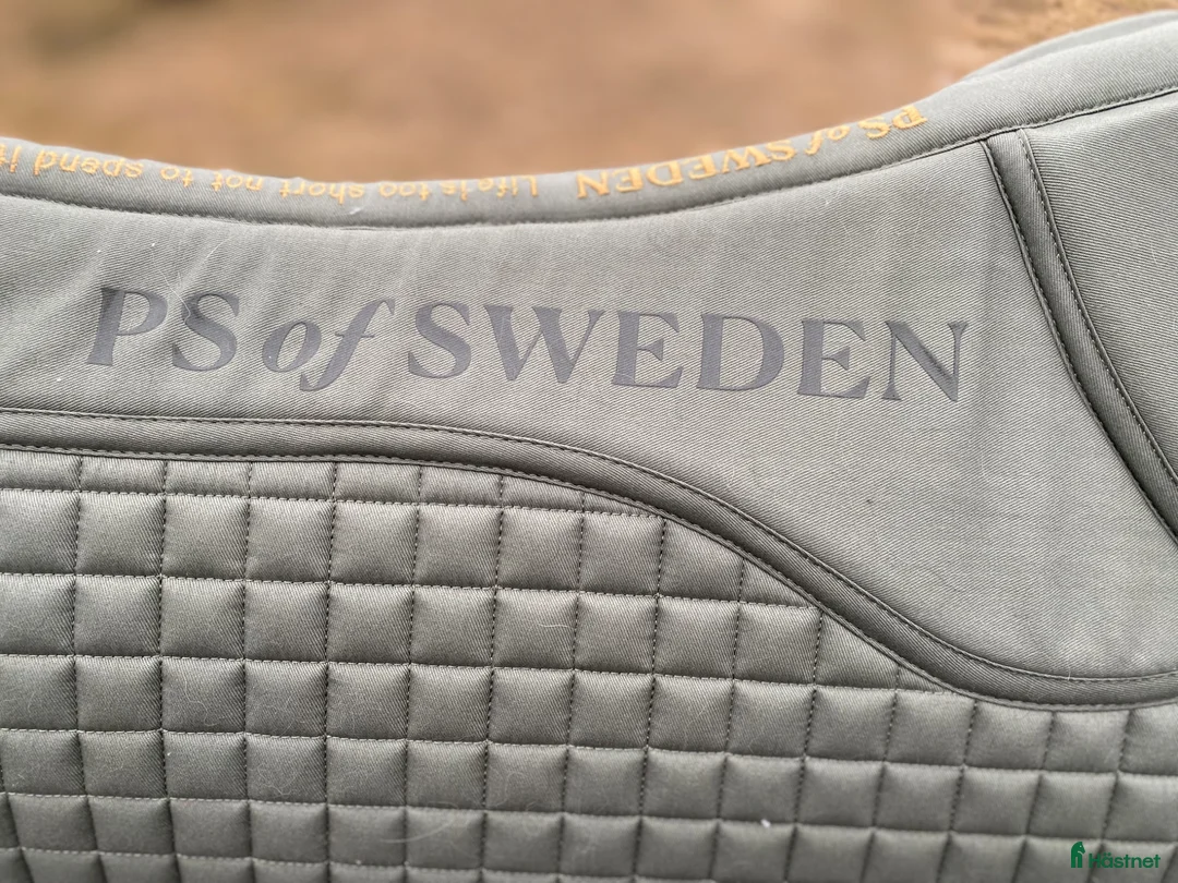 Schabrak & Vojlockar hästutrustning till salu: Shabrak  i Orsa - Annons 2