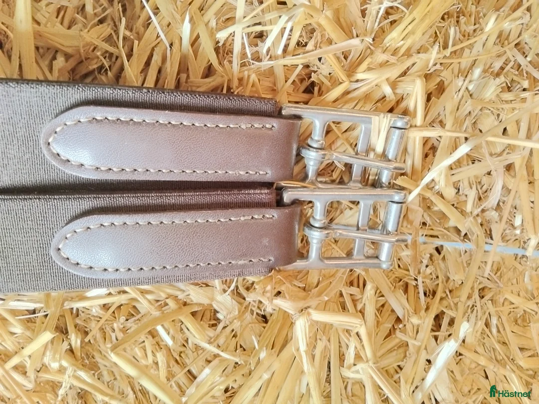 Övrig Hästutrustning hästutrustning till salu: Blandat i Löddeköpinge - Annons 15