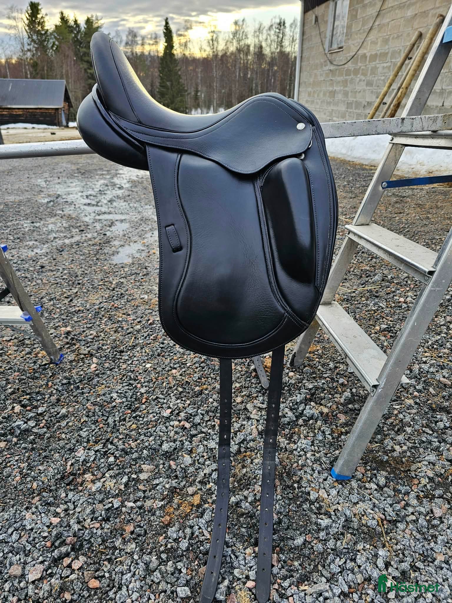 Sadlar hästutrustning Santa cruz colbert brother flo 16,5" - Annons 12