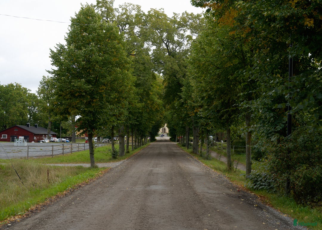 Allround hästar sökes: ⭐️Söker snälla och stabila LB-hästar⭐️ i Järfälla - Annons 3
