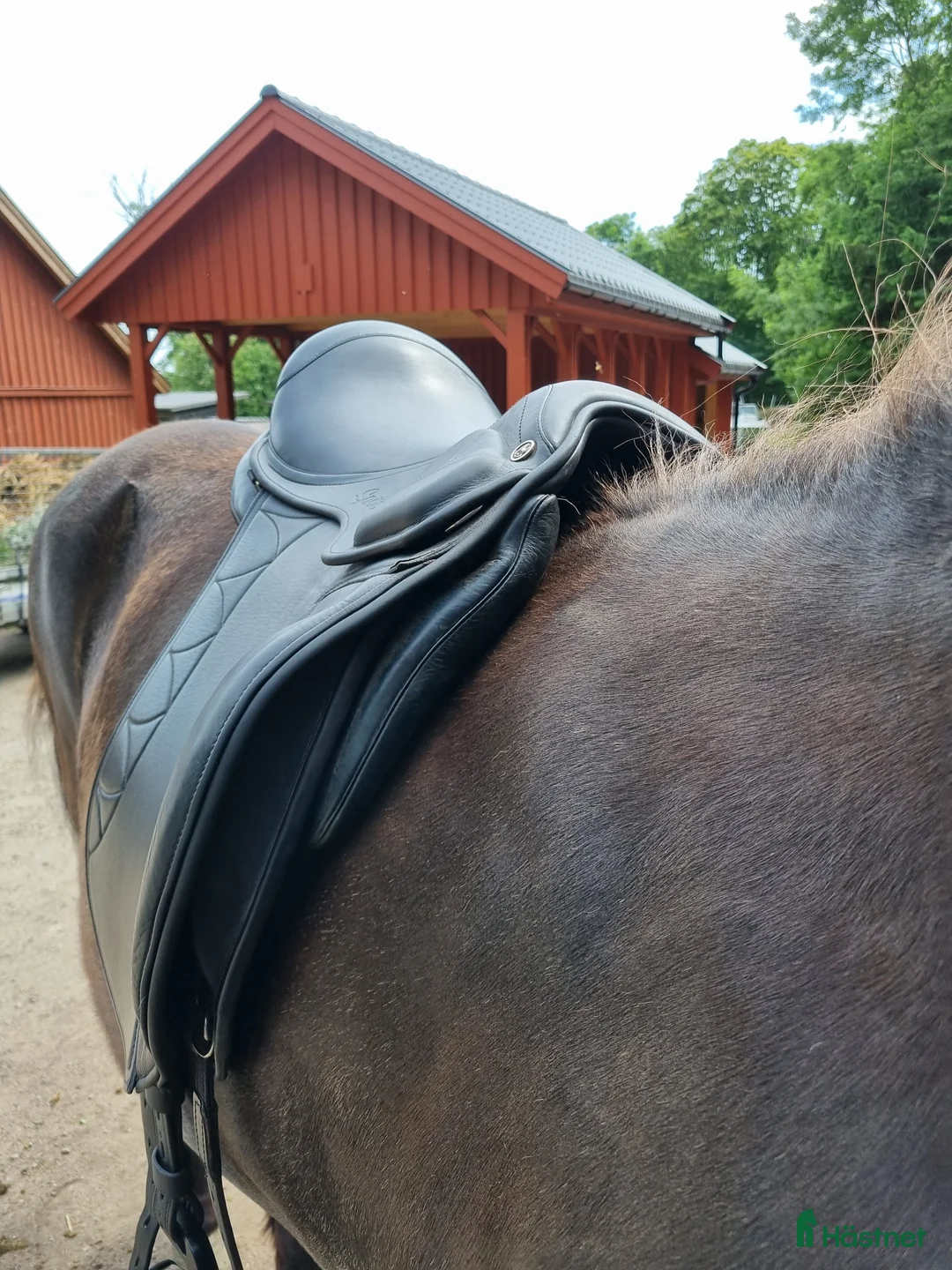 Sadlar hästutrustning till salu: Topreiter Spirit - Annons 3