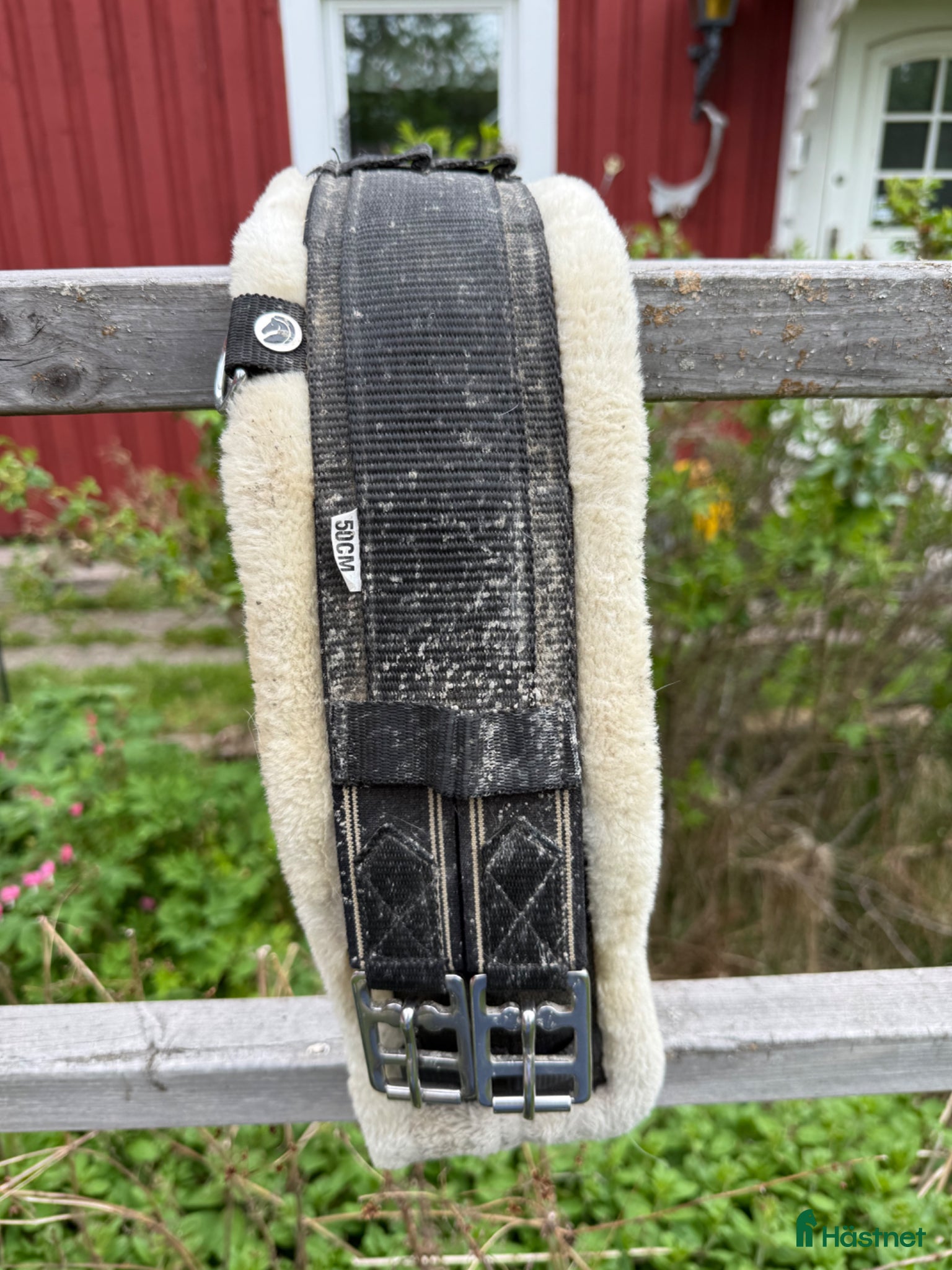 Sadeltillbehör hästutrustning Dressyrgjord - Annons 7