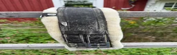 Sadeltillbehör hästutrustning till salu: Dressyrgjord - Annons 1