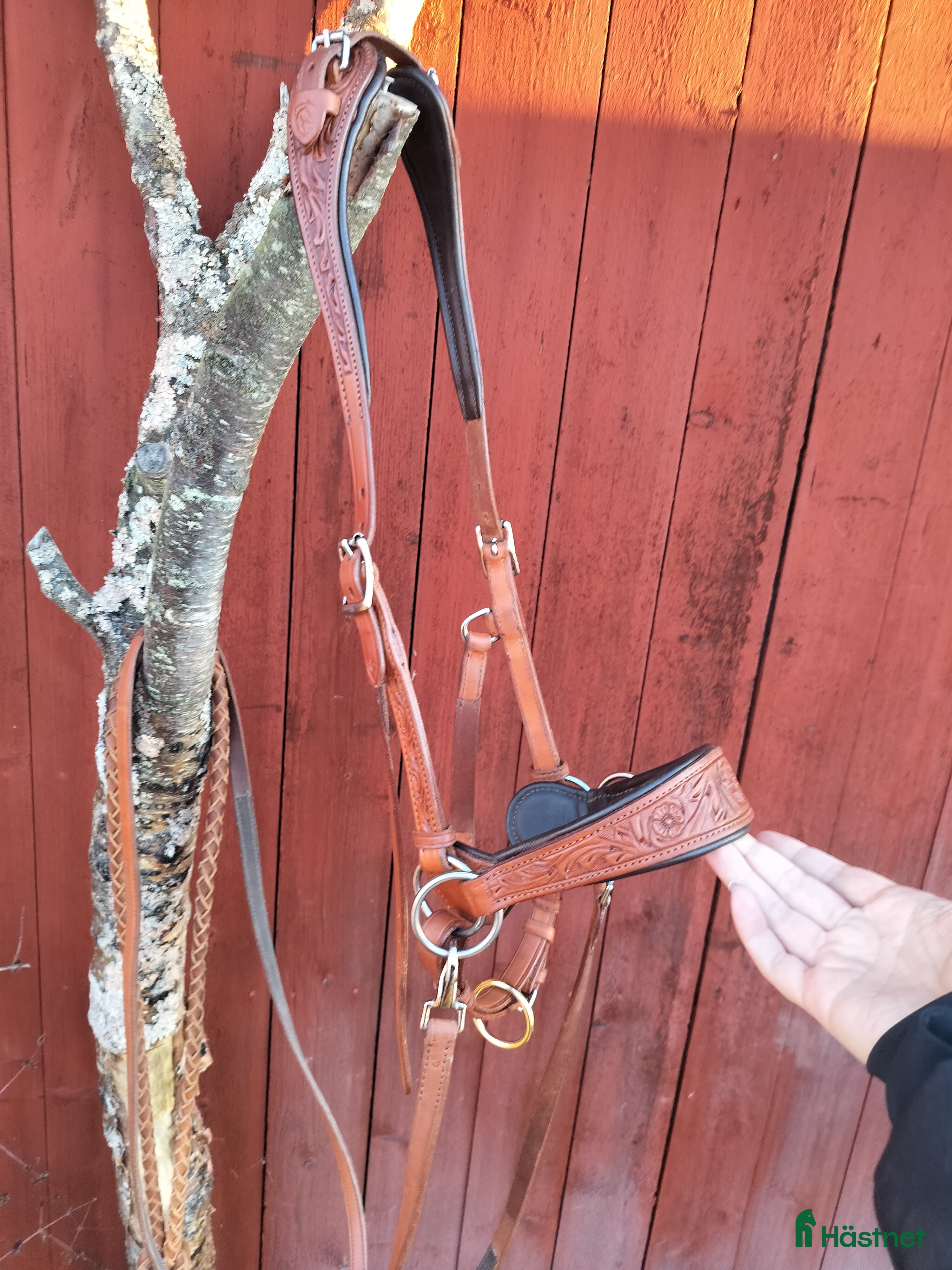 Träns hästutrustning till salu: Edix sidepull rose i cognac i Luleå - Annons 5