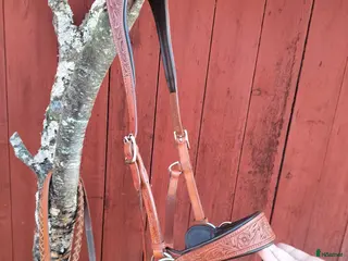 Träns hästutrustning Edix sidepull rose i cognac i Luleå - Annons 10