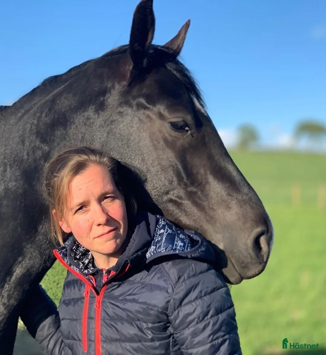 Galleribild {{count}}