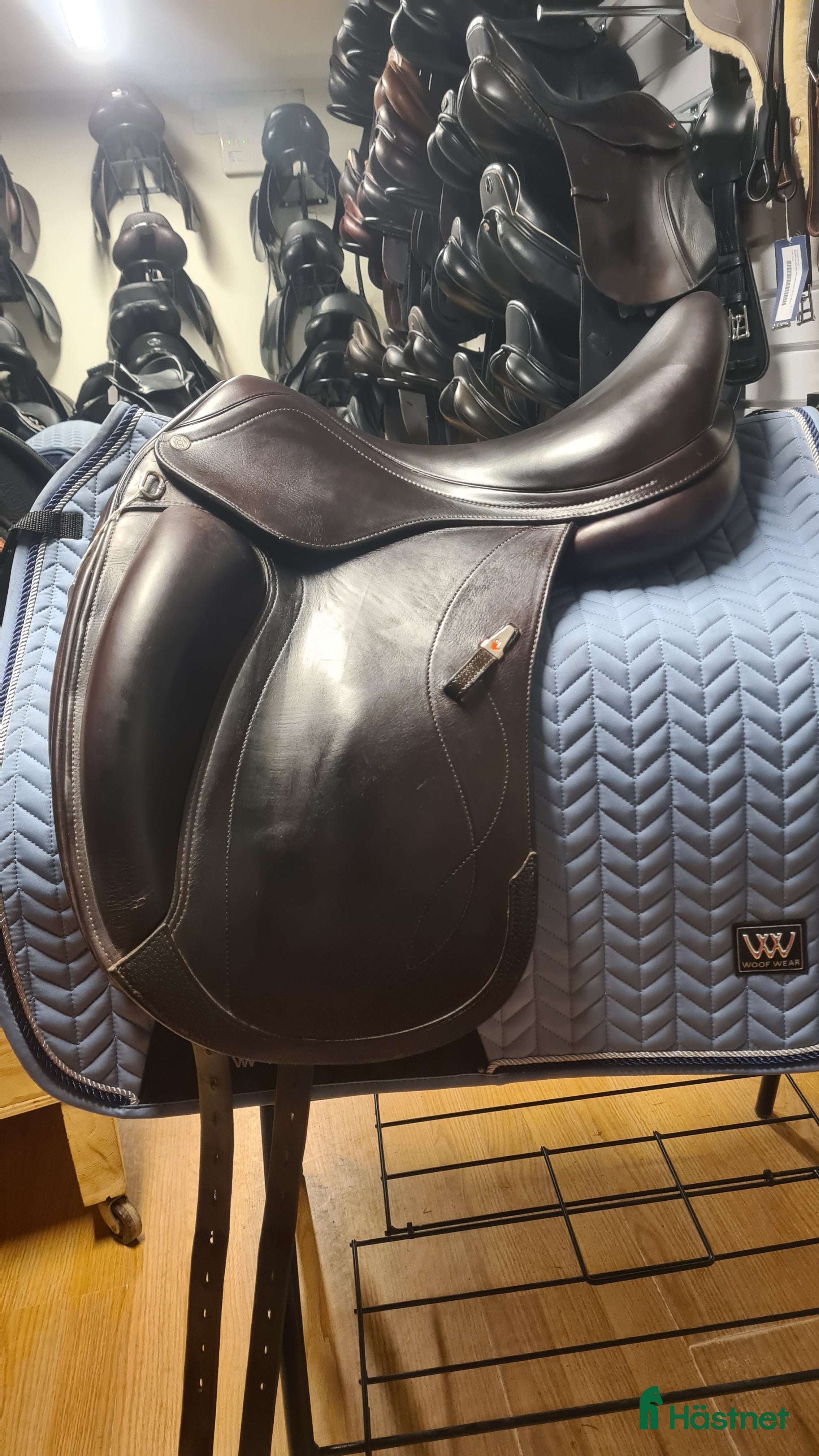 Sadlar hästutrustning till salu: Equipe Olympia i Hamneda - Annons 10