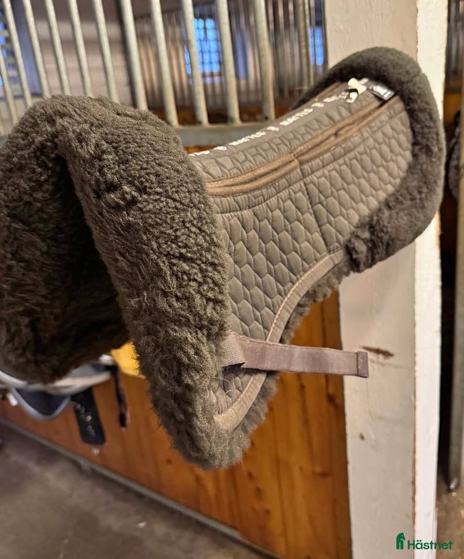 Sadeltillbehör hästutrustning till salu: Mattespad correction L brun ton i ton i Ulricehamn - Annons 14
