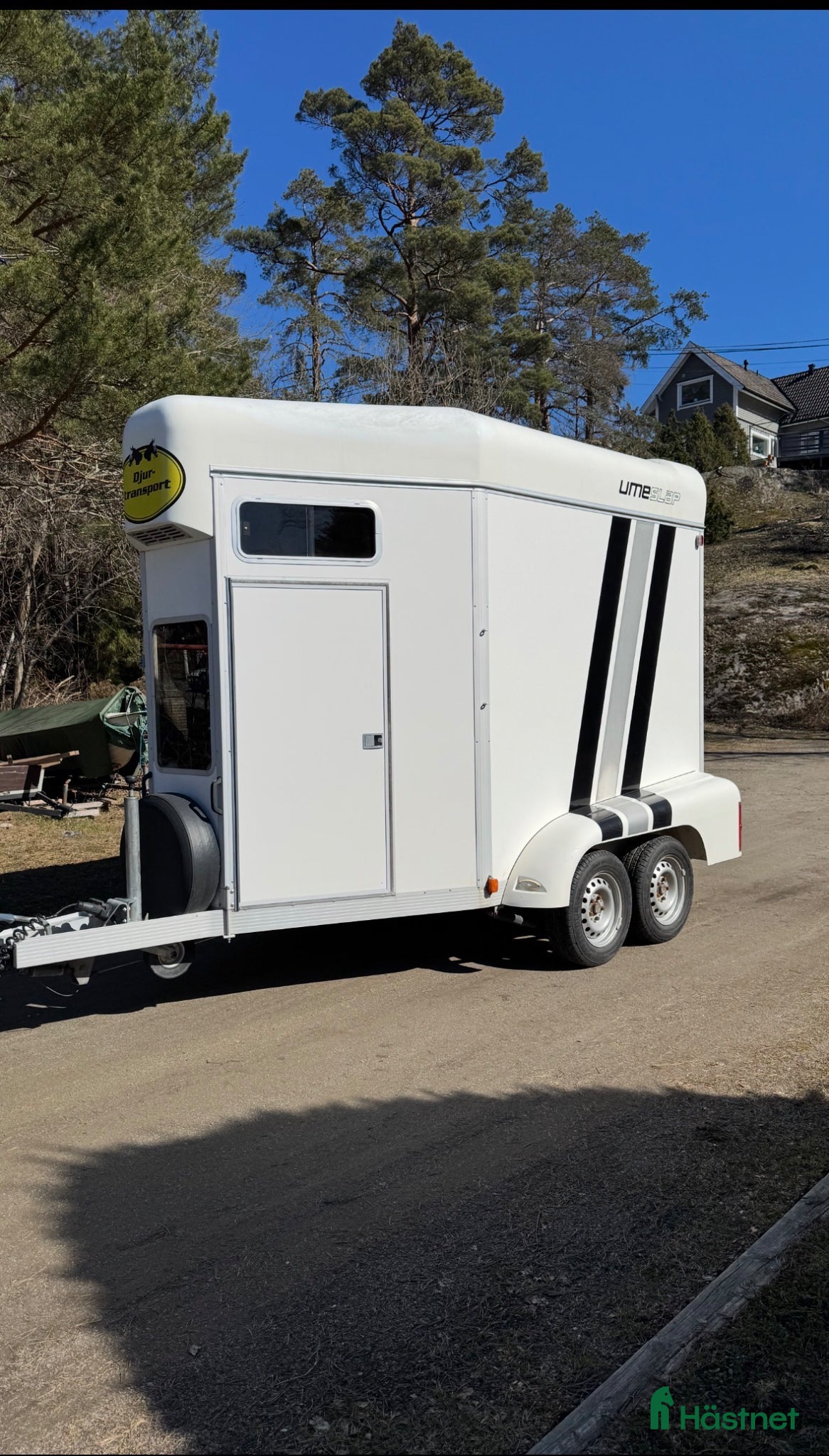 Hästtransporter  fordon & transport till salu: Umesläp Ba45 - Annons 1