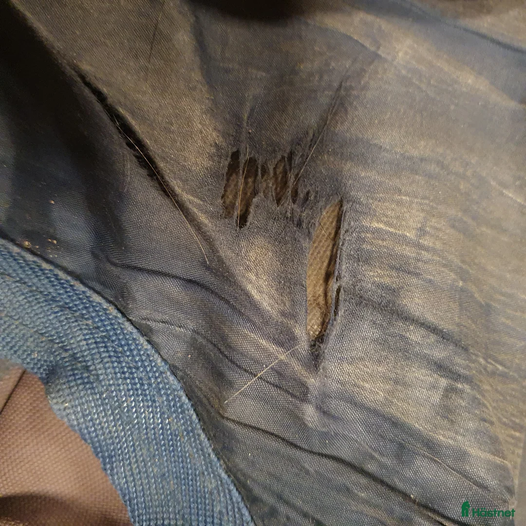 Täcken hästutrustning till salu: Horseware Amigo Hero 6 plus heavy 6.3/140 i Tranås - Annons 6