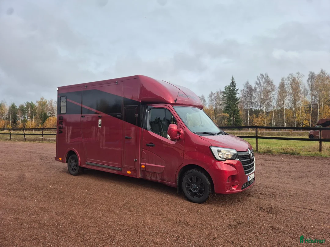 Hästlastbilar  fordon & transport till salu: B-kortsbuss Stuterinredning  - Annons 2