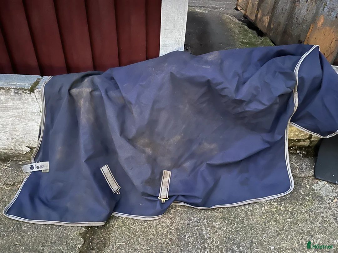 Täcken hästutrustning till salu: Bucas regntäcke - Annons 2