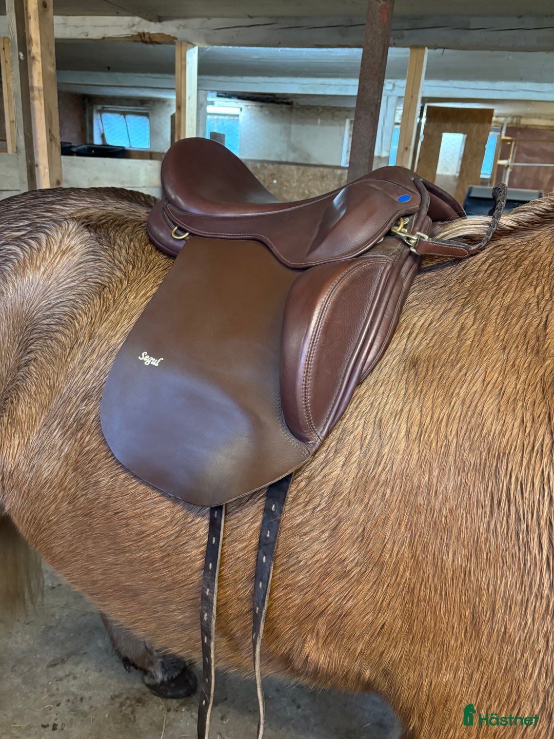 Sadlar hästutrustning till salu: Islandssadel i Fritsla - Annons 1
