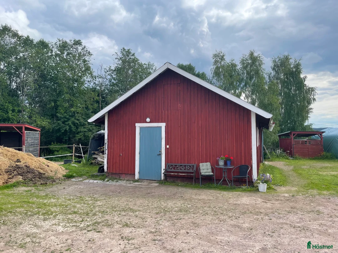  stallplats finnes: Stallplats i Djurmo/Gagnef i Djurmo - Annons 4