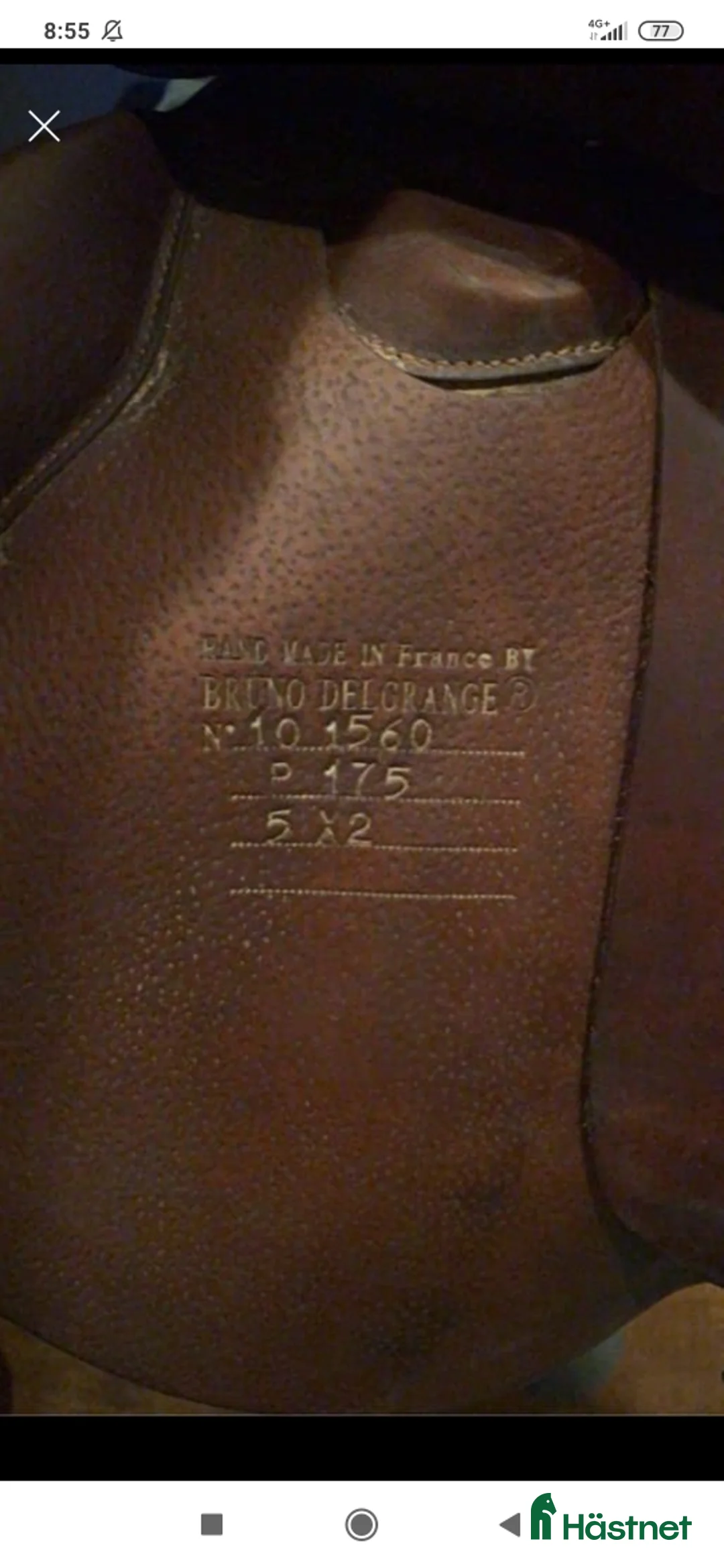 Sadlar hästutrustning till salu: Bruno del Grange  - Annons 5