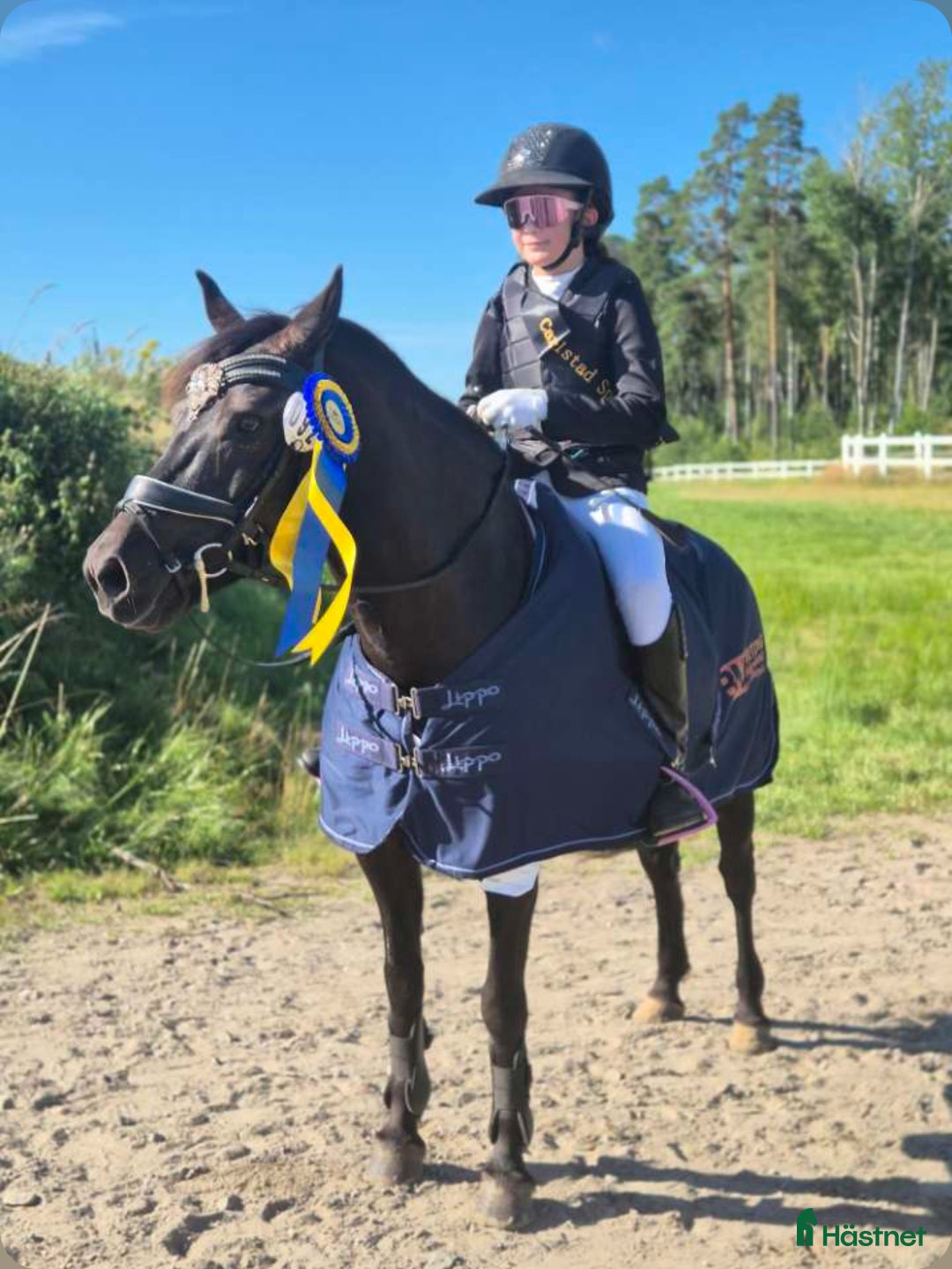 Hoppning hästar till salu: Perfekt allround ponny i Årjäng - Annons 1