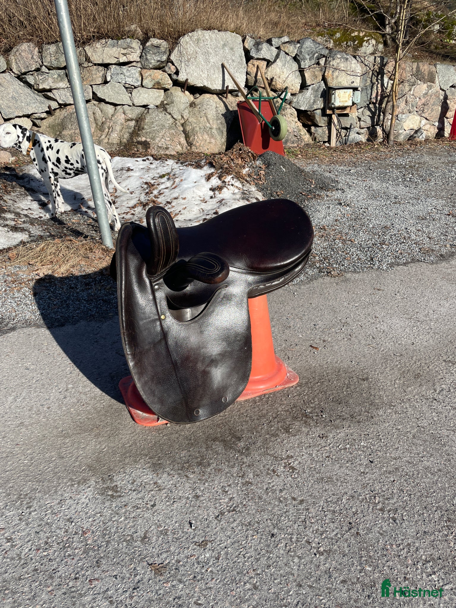 Sadlar hästutrustning Damsadel - Annons 5