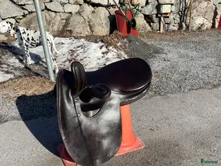 Sadlar hästutrustning Damsadel - Annons 5