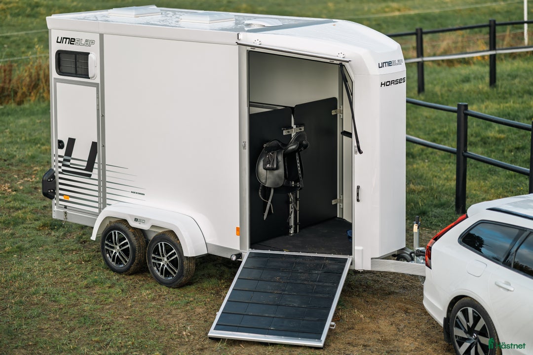 Hästtransporter  fordon & transport till salu: Lanseringskampanj Umesläp B50 2026 i Bygdsiljum - Annons 2