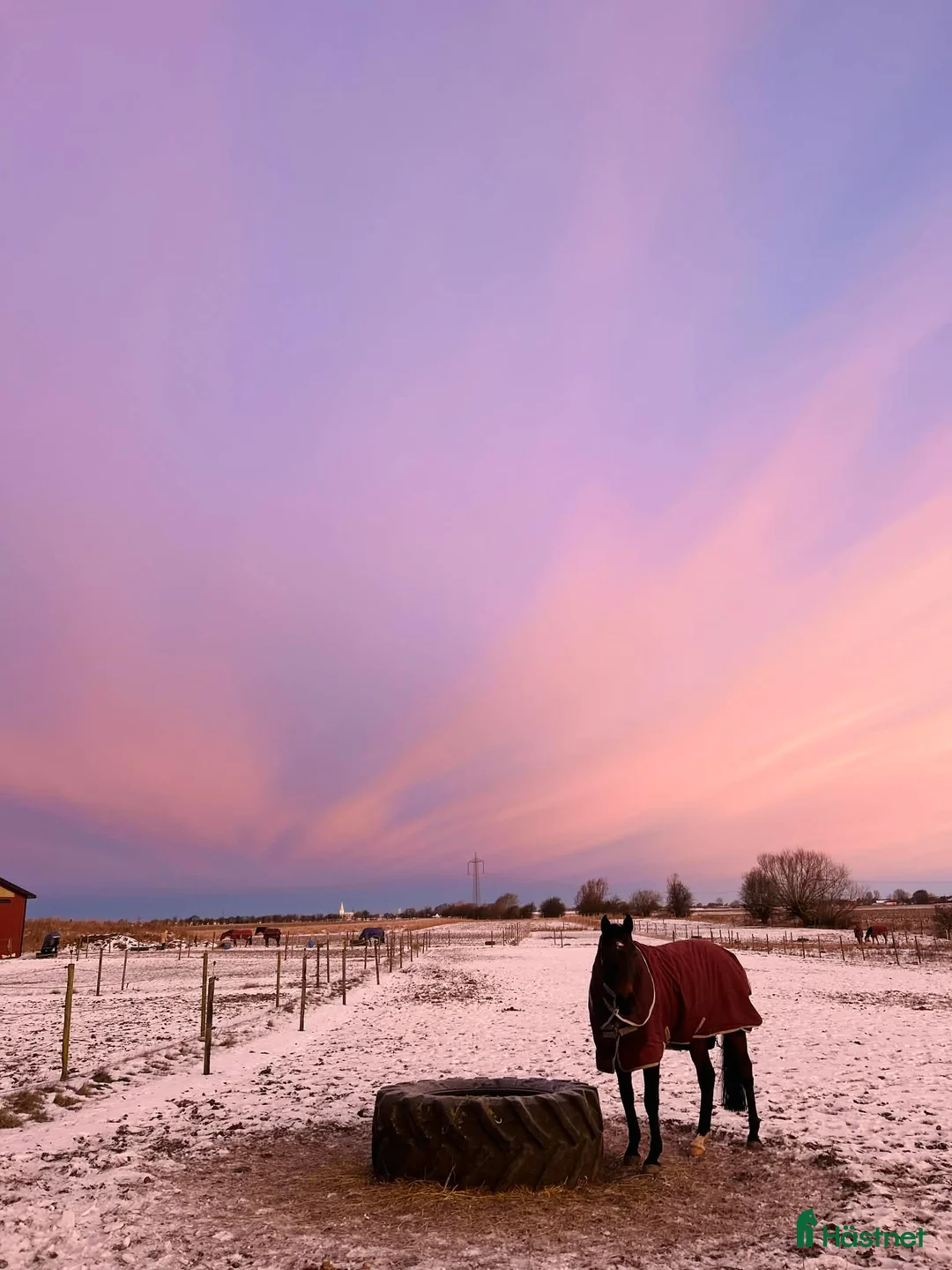  stallplats finnes: Vi har tre boxplatser lediga from 1 mars😊 i Vellinge - Annons 15