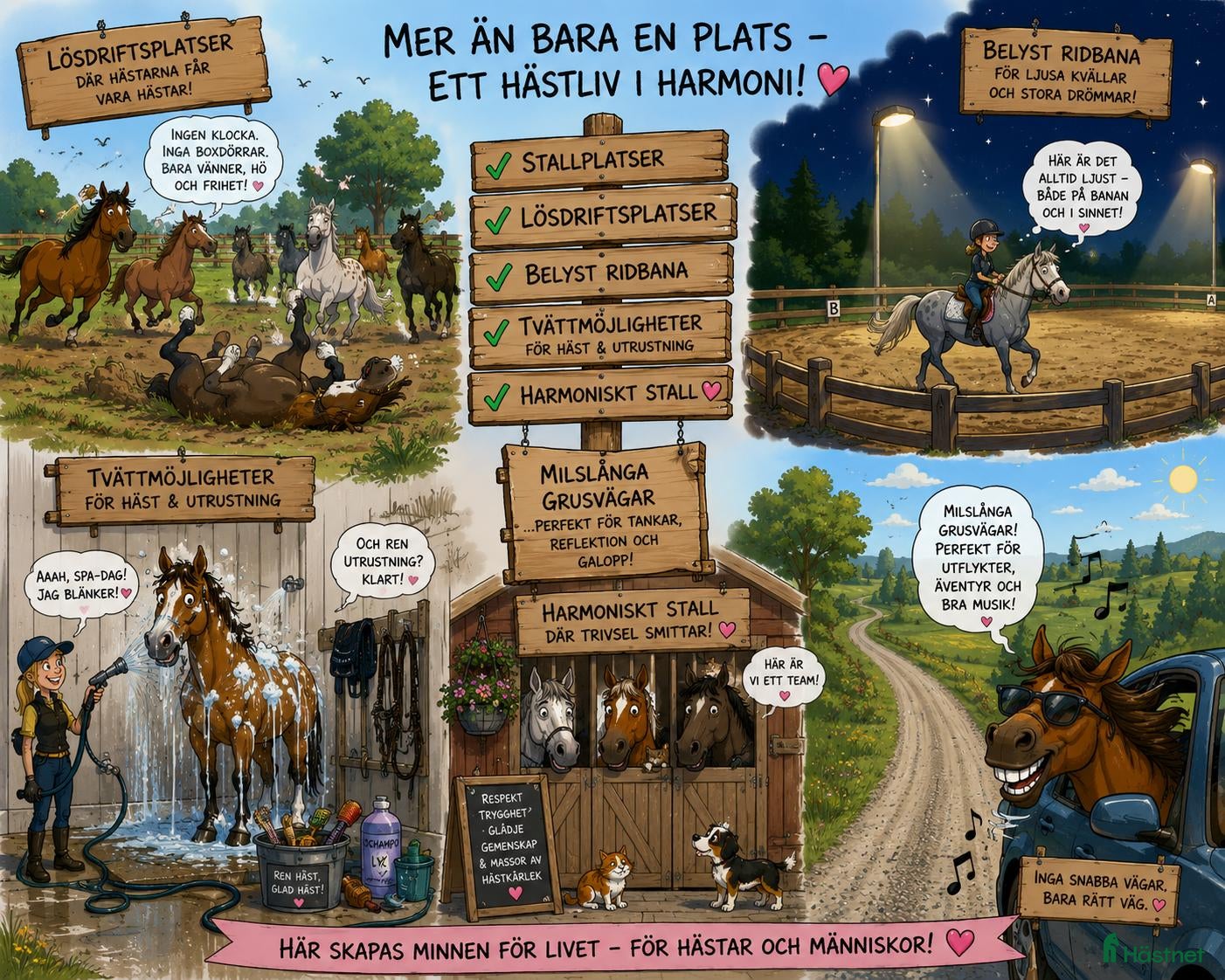  stallplats stallplats eller lösdrift finnes - Annons 6
