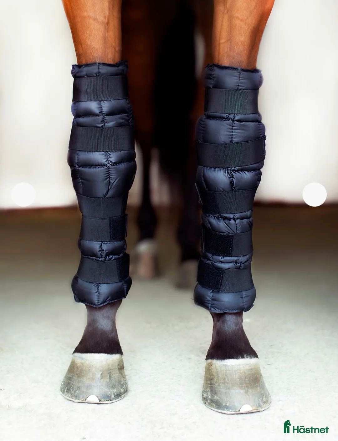 Benskydd hästutrustning till salu: Helt nya Finntack Kylbandage  - Annons 2