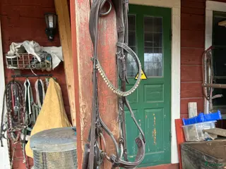 Träns hästutrustning ps of sweden - Annons 8